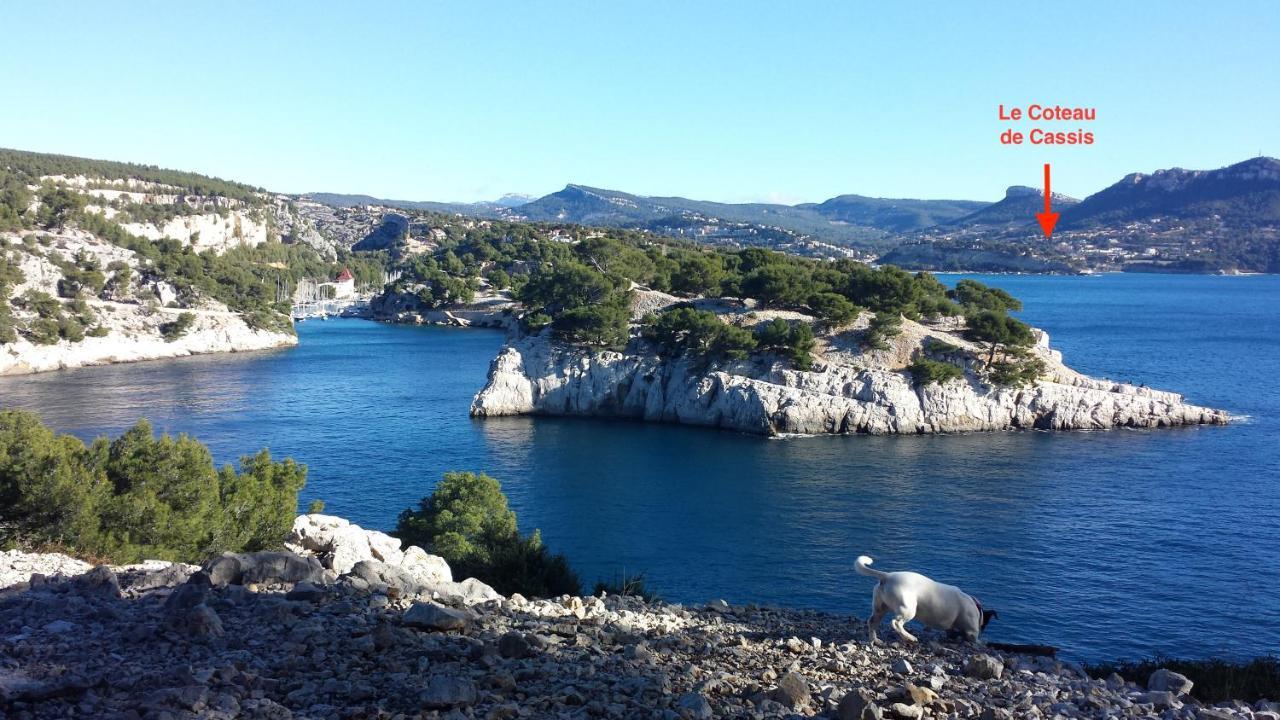 Large Private Garden, Quiet 2-Bedroom Apartment, Air Conditioning, Wifi, Parking Cassis Eksteriør bilde