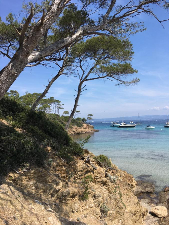 Large Private Garden, Quiet 2-Bedroom Apartment, Air Conditioning, Wifi, Parking Cassis Eksteriør bilde
