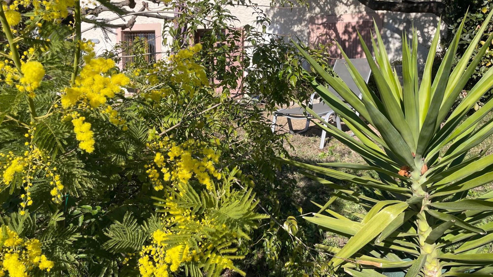 Large Private Garden, Quiet 2-Bedroom Apartment, Air Conditioning, Wifi, Parking Cassis Eksteriør bilde