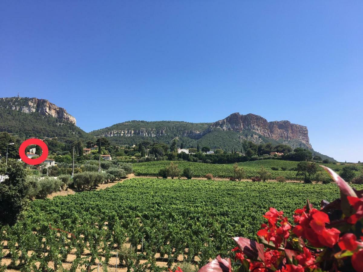 Large Private Garden, Quiet 2-Bedroom Apartment, Air Conditioning, Wifi, Parking Cassis Eksteriør bilde